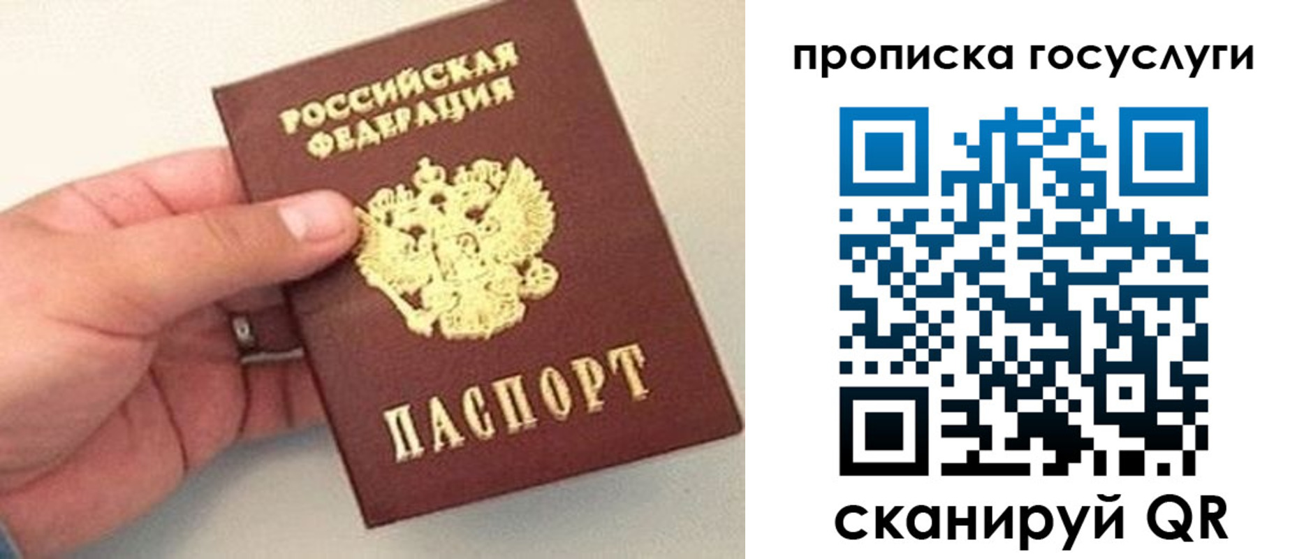 где прописаться в Чите
